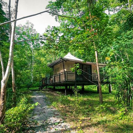 Anurak Community Lodge - Sha Plus Khao Sok National Park Ngoại thất bức ảnh